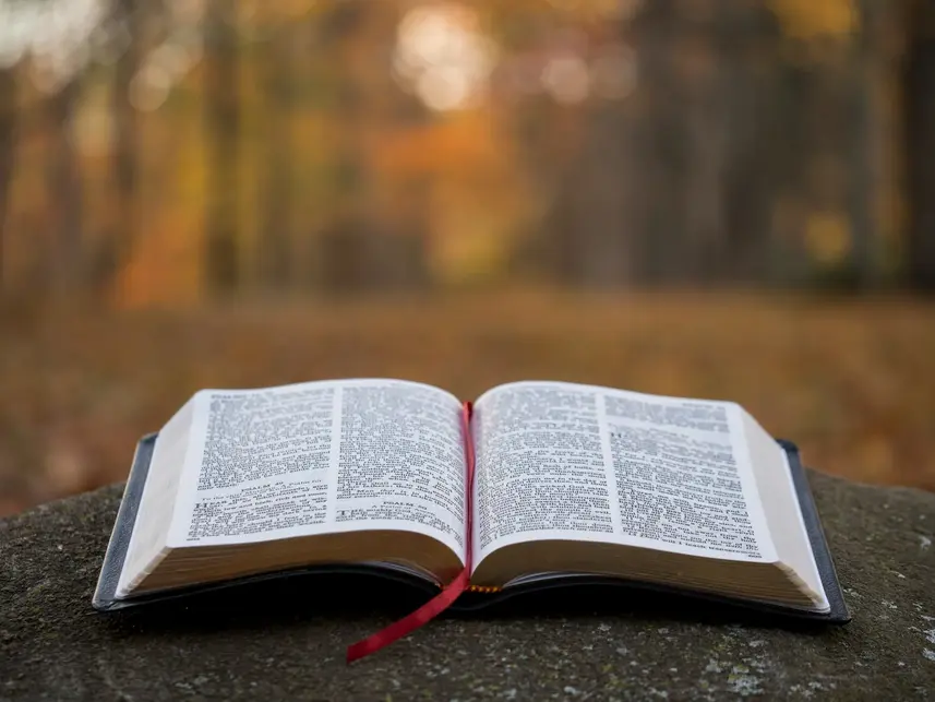 bible sitting open